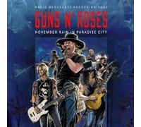 November Rain In Paradise City