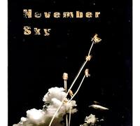 Remote Viewers - REMOTE VIEWERS November Sky