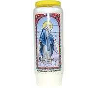 Novena vetrata: Nostra Signora dei Miracoli