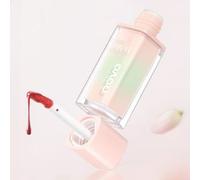NOVO - Crystal Glow Lip Gloss - 6 Colors 04# Wooden Rose - 2.5g