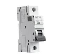 NOVOCE Interruttore Automatico Gym9 1p 6ka capacità di Rottura MCB DIN Rail 22 0V 400V Mini Interruttore Automatico 6a-63a AC Typ (Color : 32a, Size : 1 Pole C Curve)