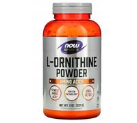 NOW FOOD L-ORNITINA POLVERE PURA 227 g L-ornitina
