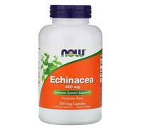 NOW Foods Echinacea 400mg 250 Vcaps NOW4662