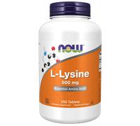 NOW Foods L-Lisina 500mg. - 250 capsule