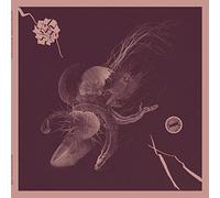 Now That You've Found It