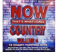 Now That's What I Call Country - Now That's What I Call Country Vol. 4