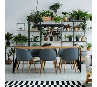 Nowodvorski Lighting Lampada a sospensione Plant con ripiano, nero Nowodvorski Lighting