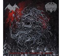 Noxis/Cavern Womb Communion of Corrupted Minds (Vinyl LP) 12" Album