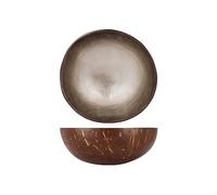 Noya Ciotola di cocco, foglia di argento metallizzato, D14 cm