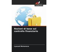 Nozioni di base sul controllo finanziario