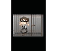 NOZIONI ED ELEMENTI DI DIRITTO PENITENZIARIO: AMAZON 2026