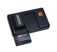 NP-FH50 (2 pezzi) batteria di ricambio ricaricabile e caricatore doppio compatibile con DSC-HX1, DSC-HX100V, DSC-HX200V, HDR-TG5V, HDR-TG1E, HDR-TG3, HDR-TG5, HDR-TG7 Digital Camera ecc