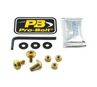 PRO BOLT NPLATE10G LIC PLT SREW PK 10 GD KAWASAKI EX 300 NINJA SE 2016