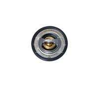 Termostato, refrigerante NRF 725150