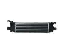 NRF Intercooler 30285 - Compatibile con Ford Fiesta V, Fusion e Mazda 2