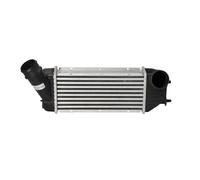 NRF 30894 Intercooler