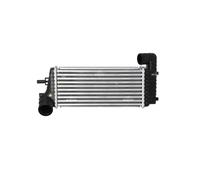 NRF Raffreddatore aria 30909 per Ford Focus III Turnier/Tourneo Connect/Grand 1.5 2014-2018