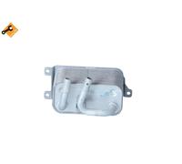 NRF 31191 Radiatore olio, Cambio automatico per BMW