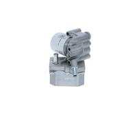 NRF 31238 Carter, Filtro olio per FORD