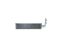 Radiatore olio, sterzo NRF 31256