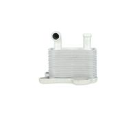 NRF 31342 Radiatore olio, Cambio automatico per OPEL