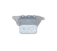 Radiatore olio motore raffreddato ad acqua 31789 NRF per MINI BMW