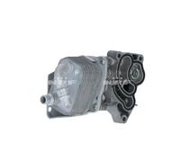 NRF 31814 Carter, Filtro olio per BMW