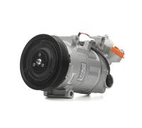Compressore climatizzazione PAG 46 32596 NRF per RENAULT MEGANE III Grandtour