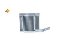 NRF 36151 Vaporizzatore Aria Condizionata per Renault Megane Scenic Scénic I
