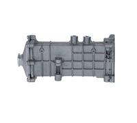 NRF 48002 Valvola di scarico