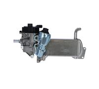 Nrf 48201 Valvola Egr