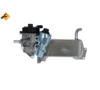 Nrf 48201 Valvola Egr