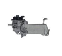 NRF Modulo EGR