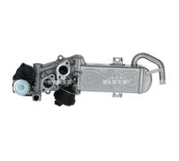 NRF Modulo EGR