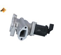 Valvola EGR NRF 48325