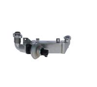 Modulo EGR NRF 48365