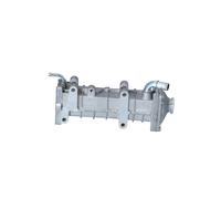 NRF 48377 Radiatore, Ricircolo gas scarico per IVECO