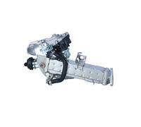 NRF 48452 Modulo EGR