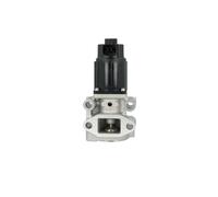NRF 48653 Valvola EGR