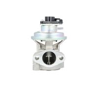 NRF 48711 Valvola EGR