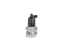NRF 48713 Valvola EGR