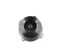 NRF 50000036 Pompa acqua