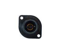 Termostato, refrigerante NRF 725035