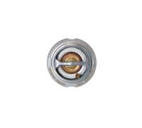 NRF Termostato motore 725090 – 80°C – senza alloggiamento – per VW Jetta IV/Beetle