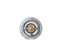 Termostato, liquido di raffreddamento EASY FIT NRF 725209