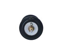 NRF 725250 Termostato motore