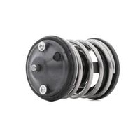 Termostato, Refrigerante compatibile con BMW MINI 725274