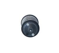 NRF 725274 Termostato, refrigerante per BMW,MINI