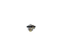NRF 725285 Termostato motore
