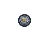 NRF 725323 Termostato motore